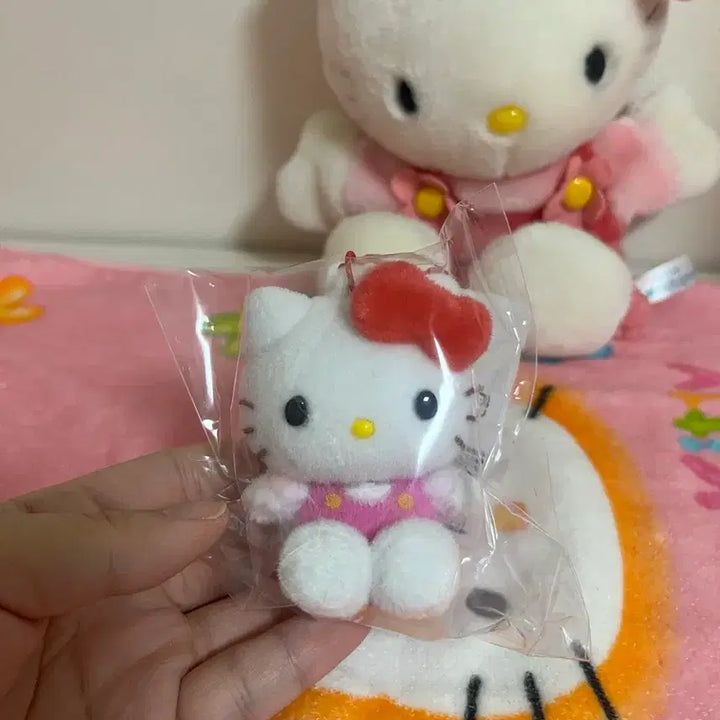 [BUNJANG] Sanrio Hello Kitty Floki Figure / 헬로키티 플로키 피규어