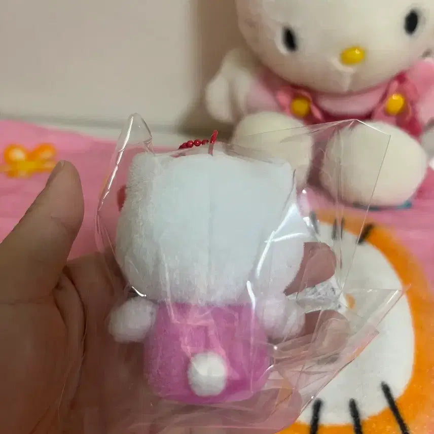 [BUNJANG] Sanrio Hello Kitty Floki Figure / 헬로키티 플로키 피규어
