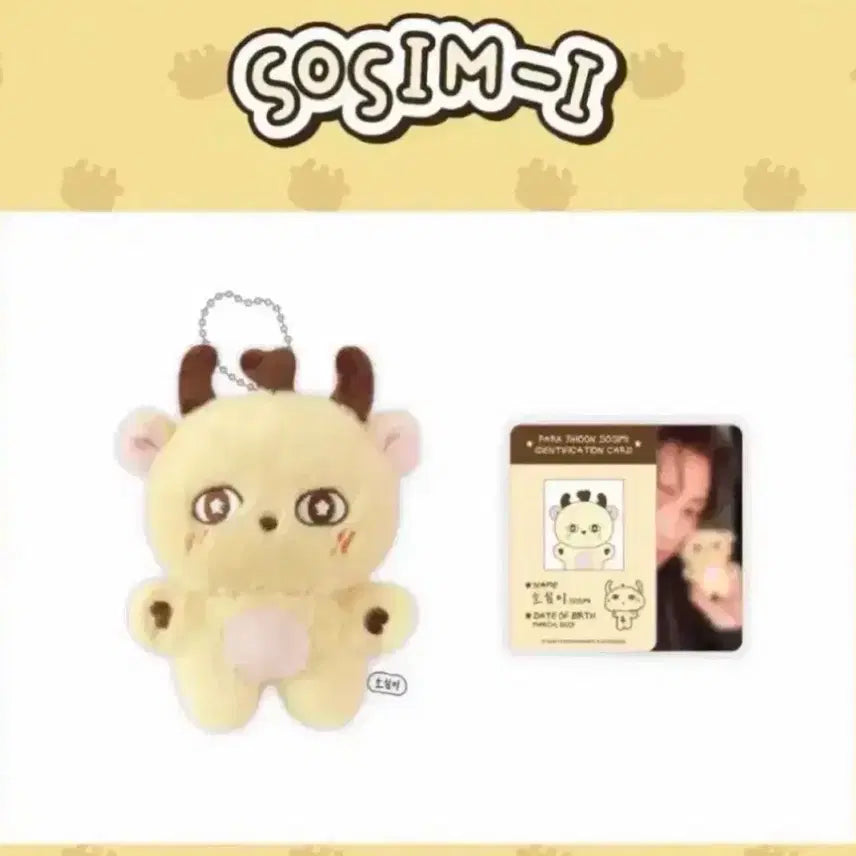 [BUNJANG] Park Ji Hoon Somimi Doll (Sealed) / 박지훈 소심이 양도 합니다 (현물/미개봉)