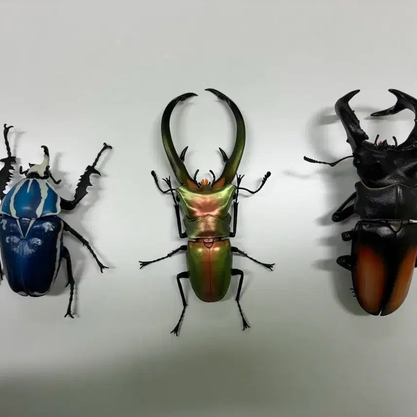 [BUNJANG] Bandai Gacha Biological Encyclopedia Advanced &amp; Regular Insects 3-Type Bundle Set / 반다이 가챠 생물대도감 어드밴스&amp;일반 곤충 3종 일괄
