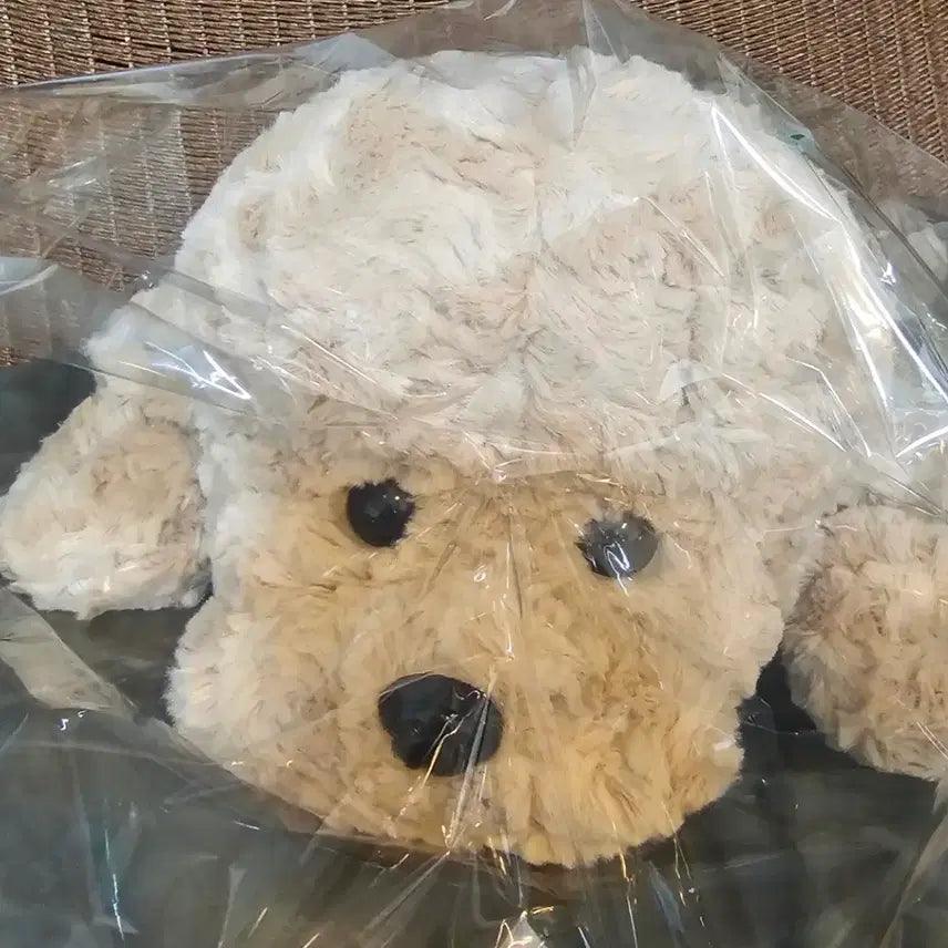 [BUNJANG] Hug Poodle Plush Toy (Approx. 45cm) / [택달린새상품]허그푸들 인형