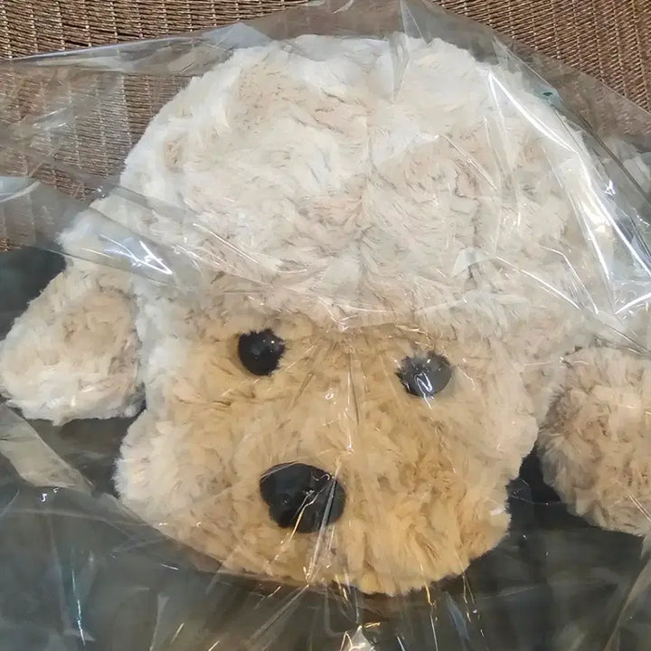 [BUNJANG] Hug Poodle Plush Toy (Approx. 45cm) / [택달린새상품]허그푸들 인형