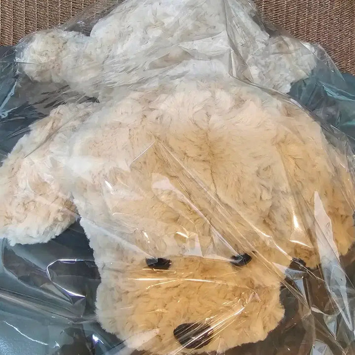 [BUNJANG] Hug Poodle Plush Toy (Approx. 45cm) / [택달린새상품]허그푸들 인형