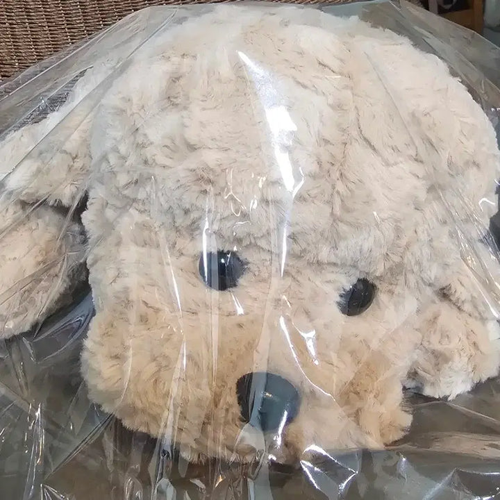 [BUNJANG] Hug Poodle Plush Toy (Approx. 45cm) / [택달린새상품]허그푸들 인형