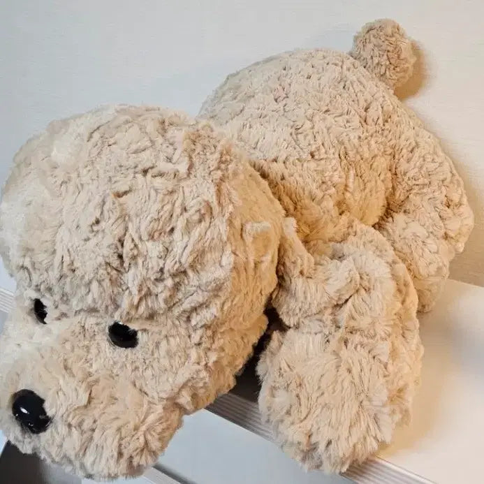 [BUNJANG] Hug Poodle Plush Toy / [택달린새상품]허그푸들 인형