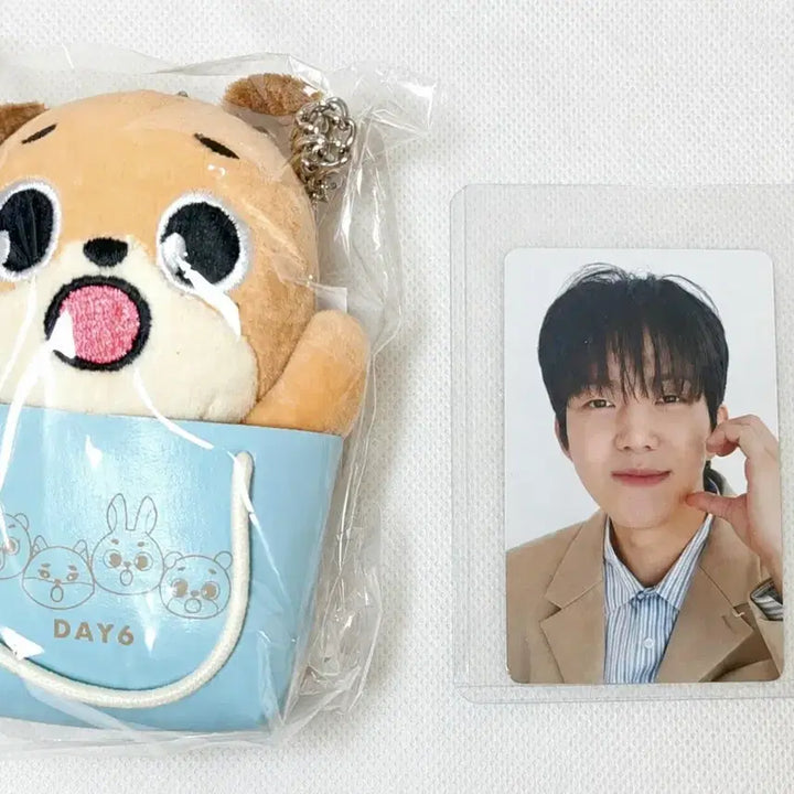 [BUNJANG] DAY6 Denimals Japan Dowoon Charm Photocard / [원가] 데이식스 일본 도운 백참 포카