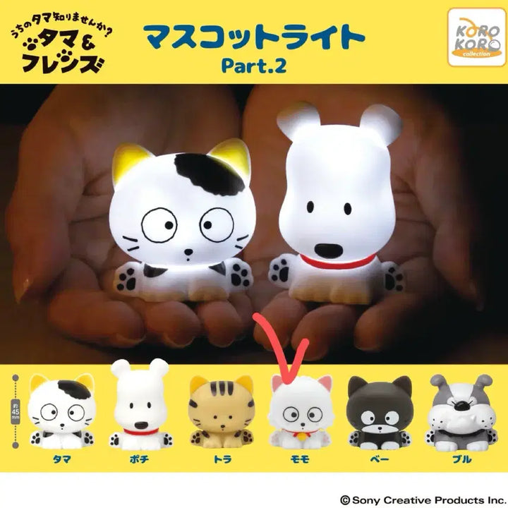 [BUNJANG] Tamawa Friends Mascot Light Gacha Tama Friends / 타마와 친구들 마스코트 라이트 가챠 타마프렌즈