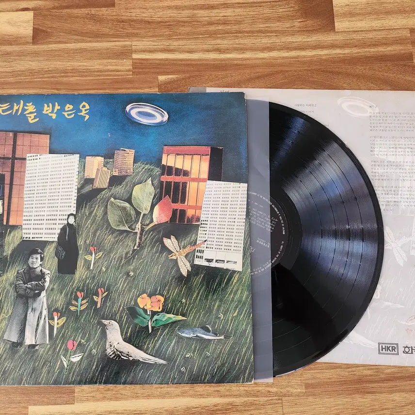 [BUNJANG] Jeong Tae Chun &amp; Park Eun Ok LP / 정태춘&amp;박은옥 LP / NM