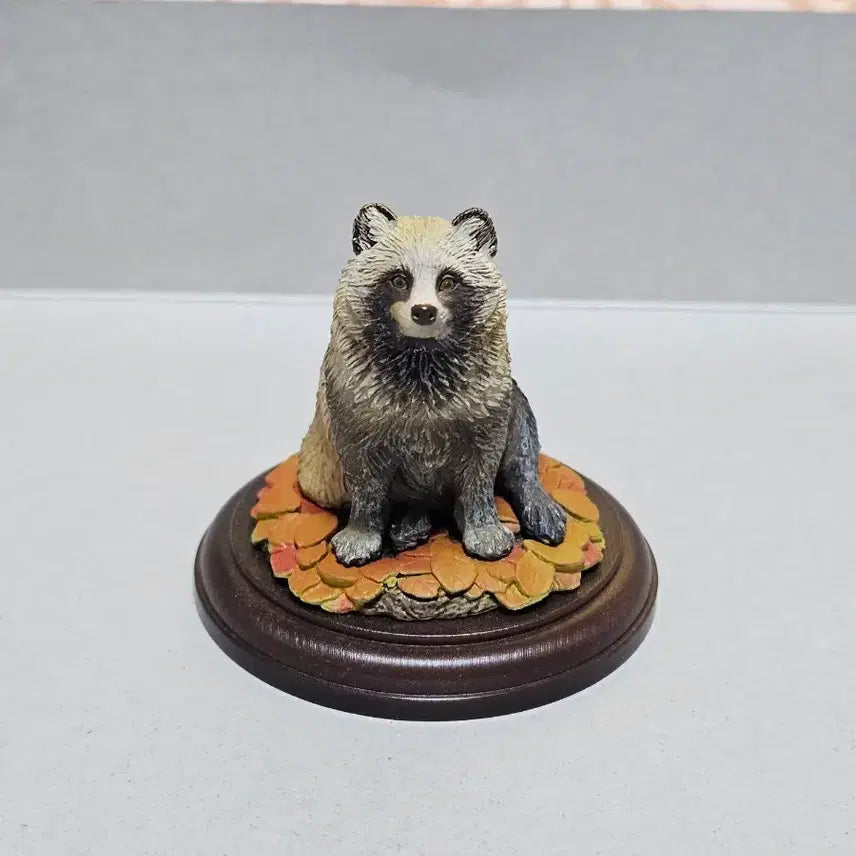 [BUNJANG] Bandai Creature Encyclopedia Raccoon Display Model Kit / 반다이 생물대도감 디스플레이 개과 너구리