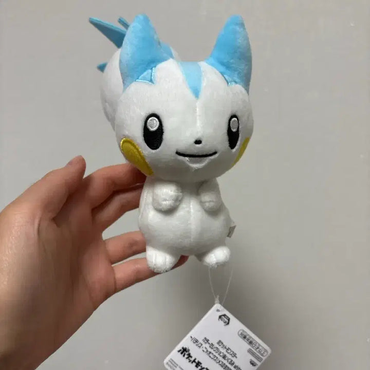 [BUNJANG] Pachirisu Plush Doll / 파치리스 인형