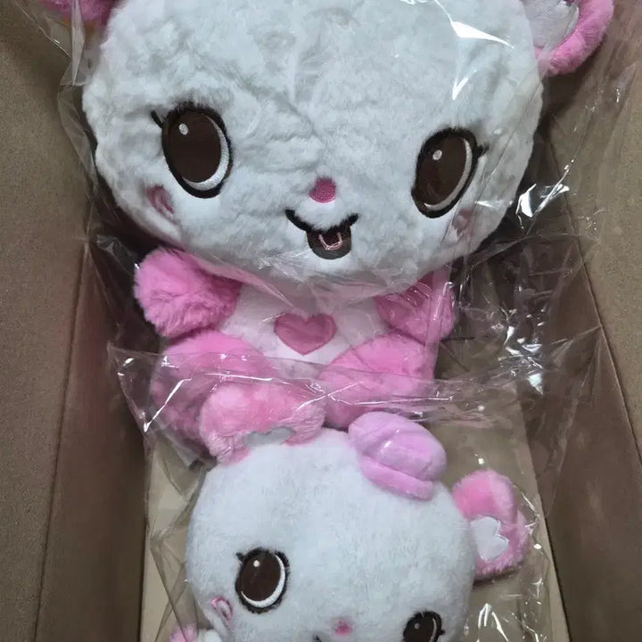 [BUNJANG] NCT WISH Sakuya 30cm Baker/Pastry Chef Plush Doll Bundle Set (Unsealed) / (일괄) 엔시티위시 팡이 사쿠야 30cm 위시돌 파티시에 위시돌 대왕팡