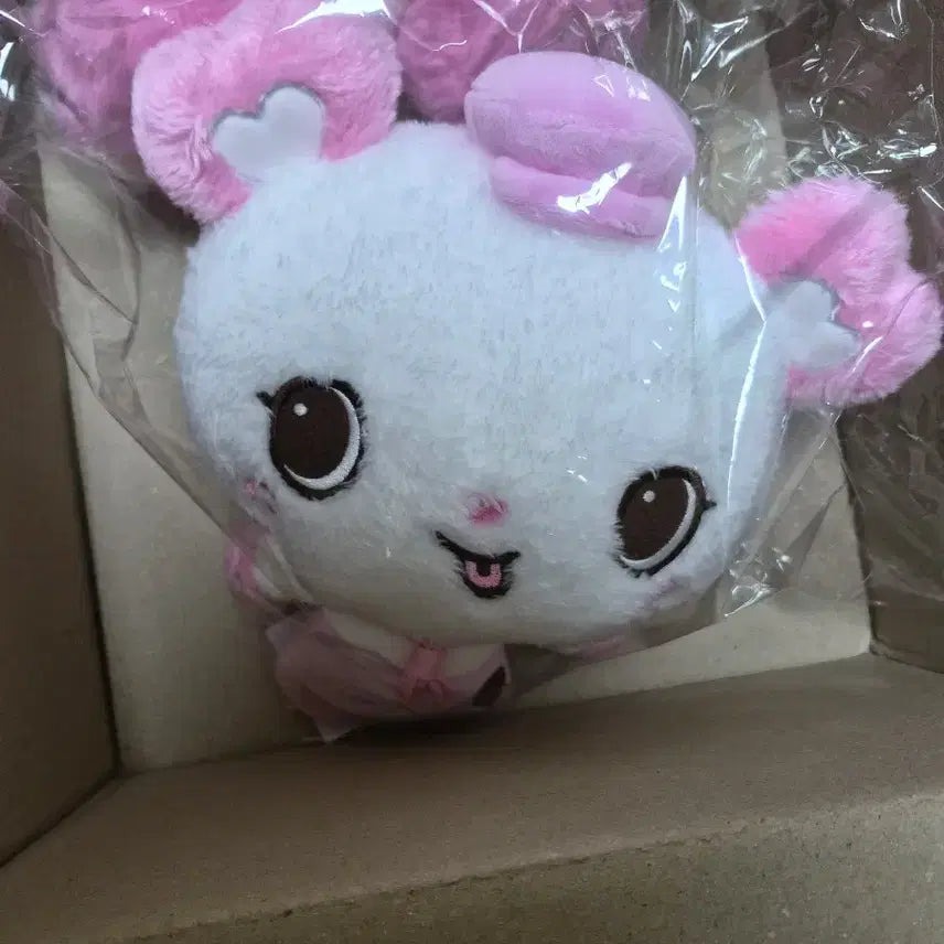 [BUNJANG] NCT WISH Sakuya 30cm Baker/Pastry Chef Plush Doll Bundle Set (Unsealed) / (일괄) 엔시티위시 팡이 사쿠야 30cm 위시돌 파티시에 위시돌 대왕팡