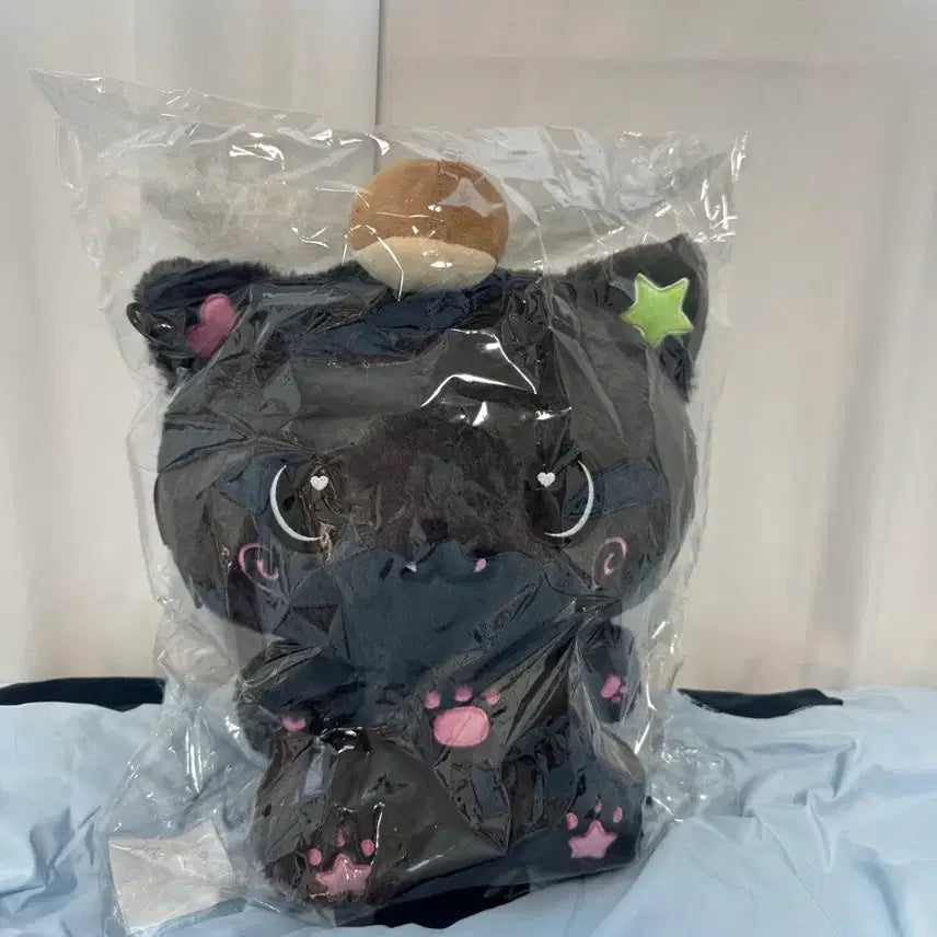 [BUNJANG] NCT WISH Wish Bakery Kurie 30cm Doll / 엔시티위시 위시베이커리 위시돌 쿠리 30cm 인형