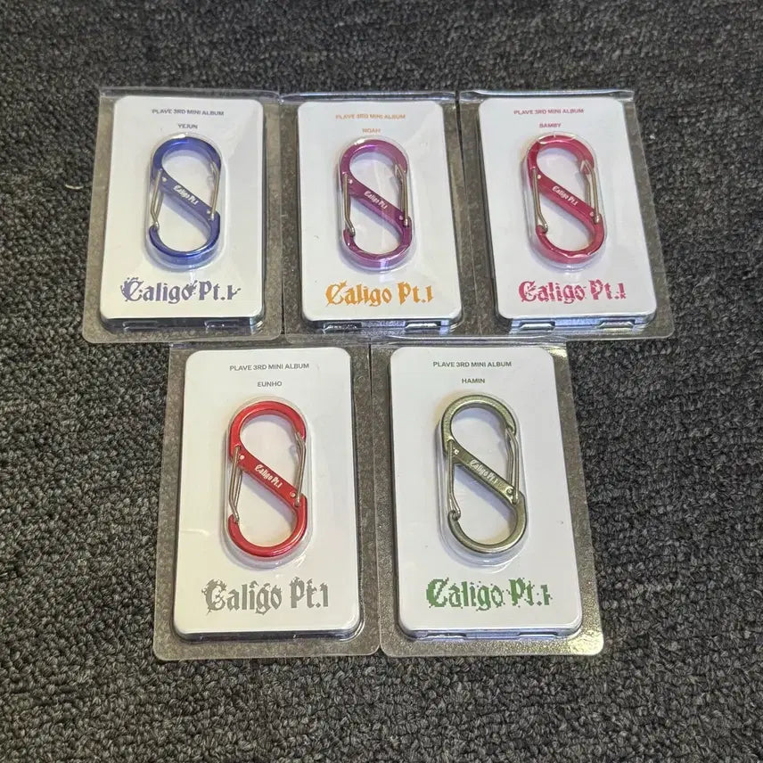 [SOLD OUT] 플레이브 칼리고 카라비너 세트
