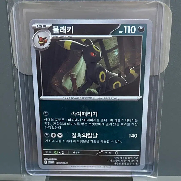 [BUNJANG] Pokemon Card Evolution Promo Bundle Set (7 Types) / [프로모 일괄] 포켓몬카드 블래키등 진화 프로모 한판 7종 판매