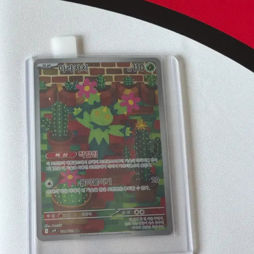 [BUNJANG] Pokemon Card Maracachi AR / 포켓몬카드 마라카치 ar