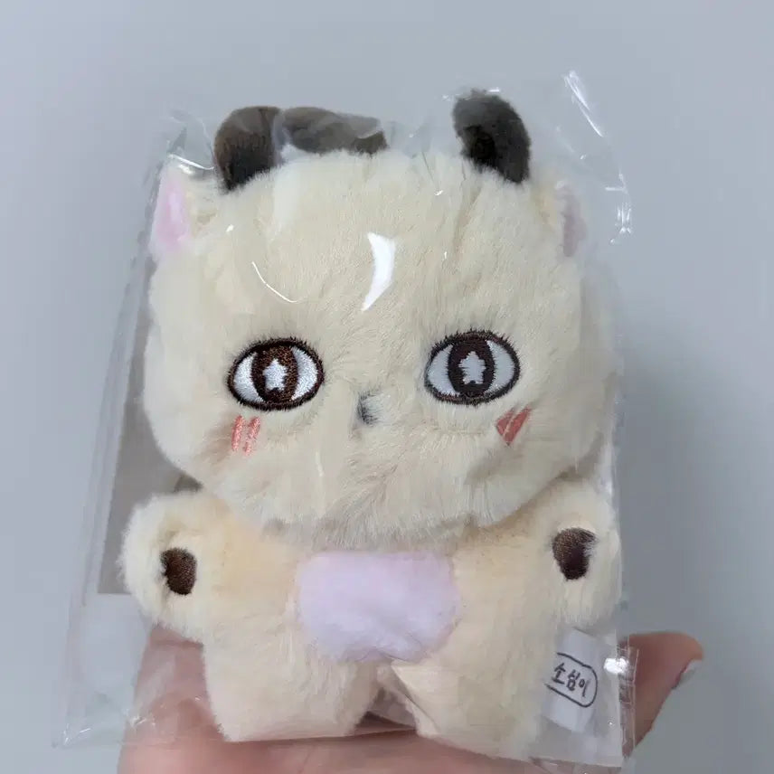 [BUNJANG] Park Jihoon SoSimi Doll Keyring (Sealed) / [미개봉/현물] 박지훈 굿즈 MD 소심이 인형 키링