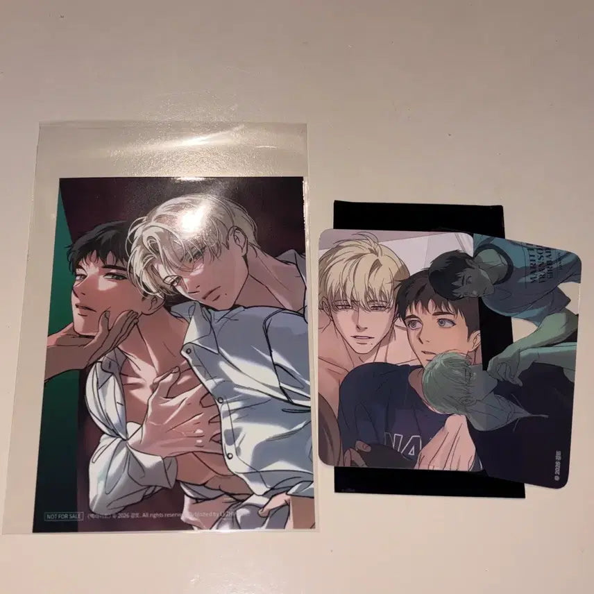 [BUNJANG] Sparkles Pop-up Backlight Header Photocard Bundle Set / 레진 시그 스파클즈 팝업 백라이트 소장인증 헤더 10만원 특전 10특