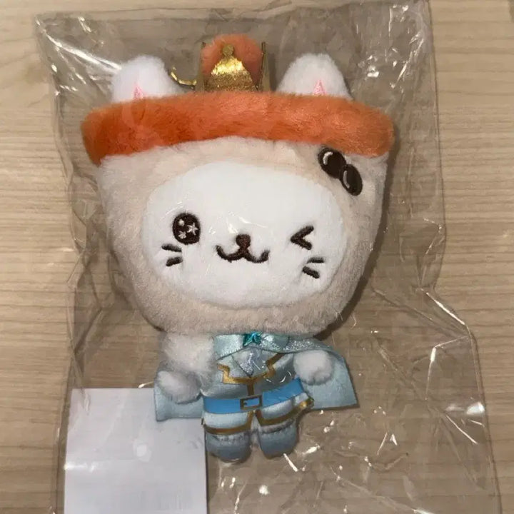 [BUNJANG] Wish Doll Yuushi 2nd Anniversary Fan Meeting Goods Sealed / 보이스 위시돌 유우시 2주년 팬미팅 굿즈 미개봉