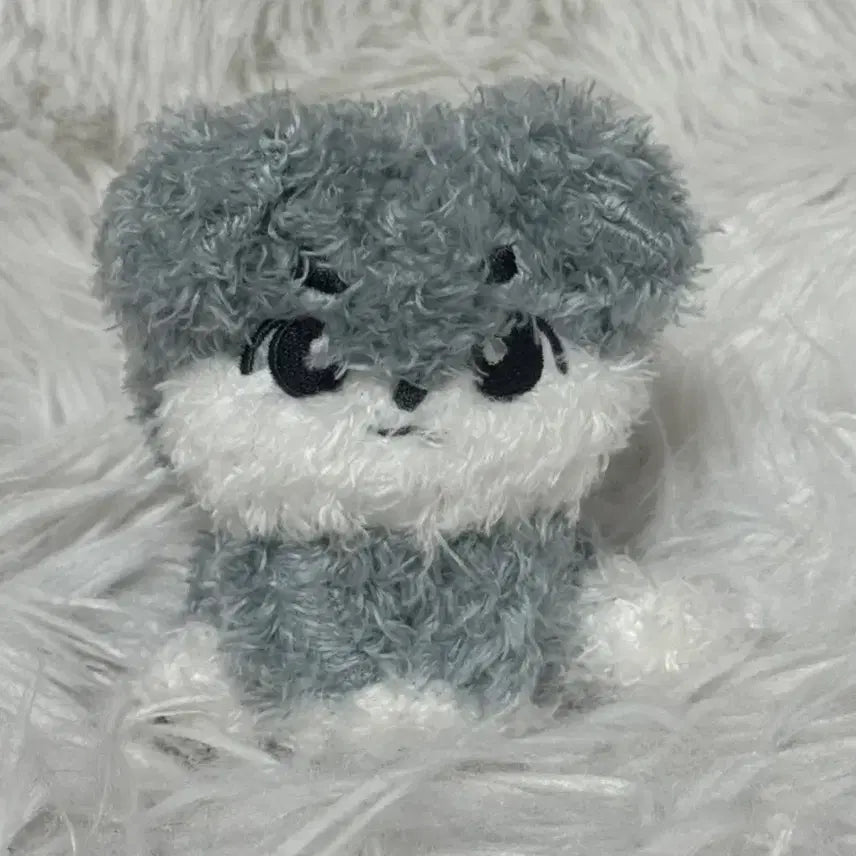 [BUNJANG] DAY6 Wonpil PhilDengi Plush Doll / 데이식스 원필 비공굿 필댕이 인형