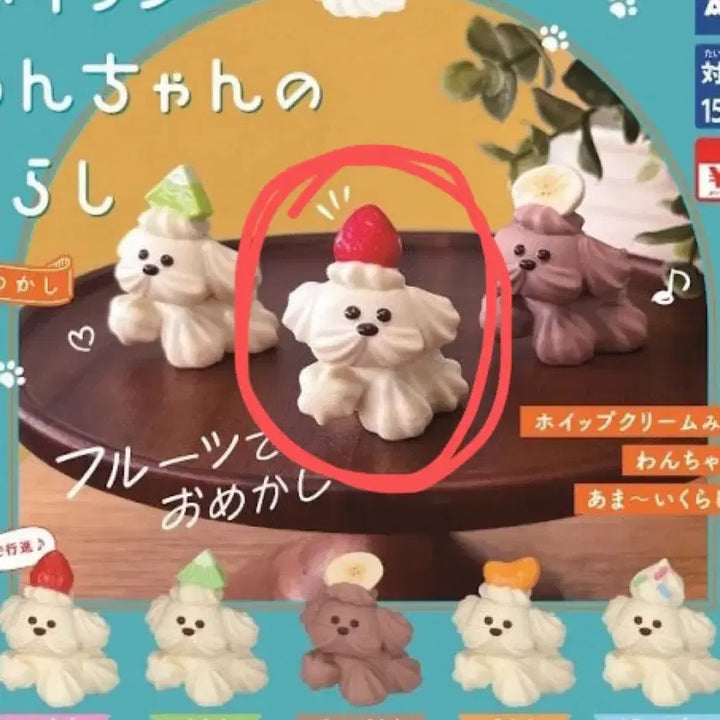[BUNJANG] Whipped Puppy Strawberry Plush / 휘핑강아지의 생활 딸기