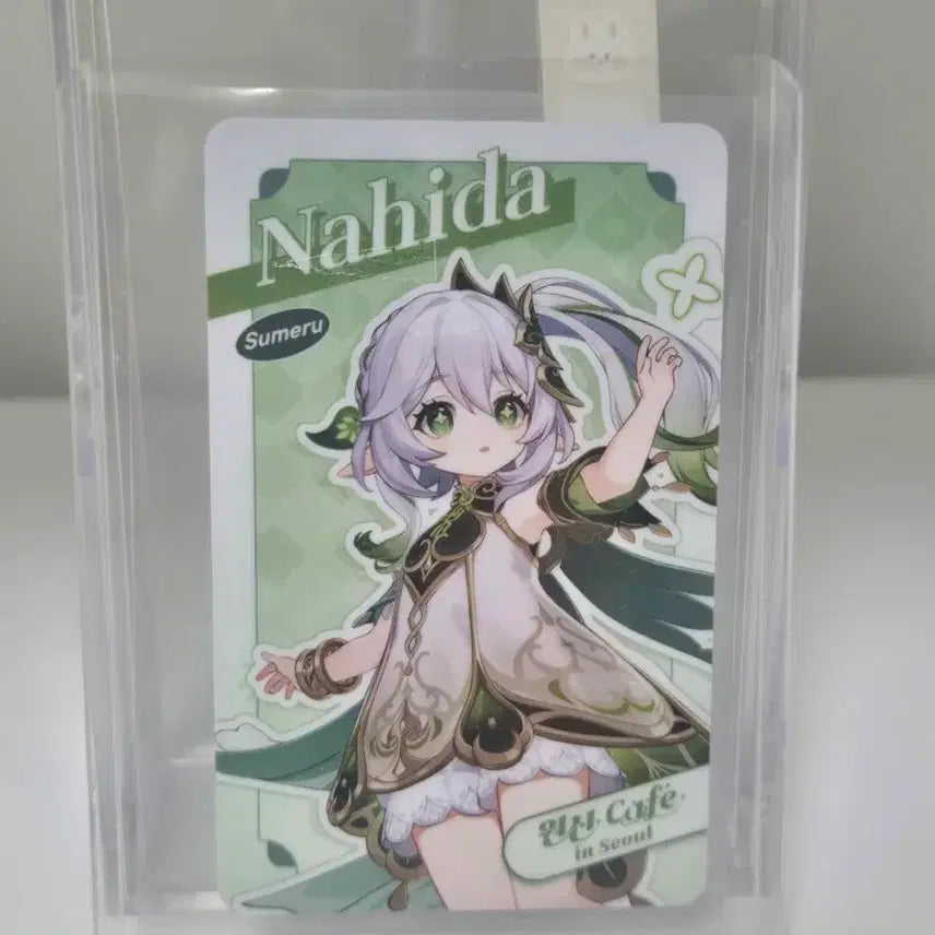 [BUNJANG] Genshin Impact Nahida Card / 원신 카페 나히다 카드