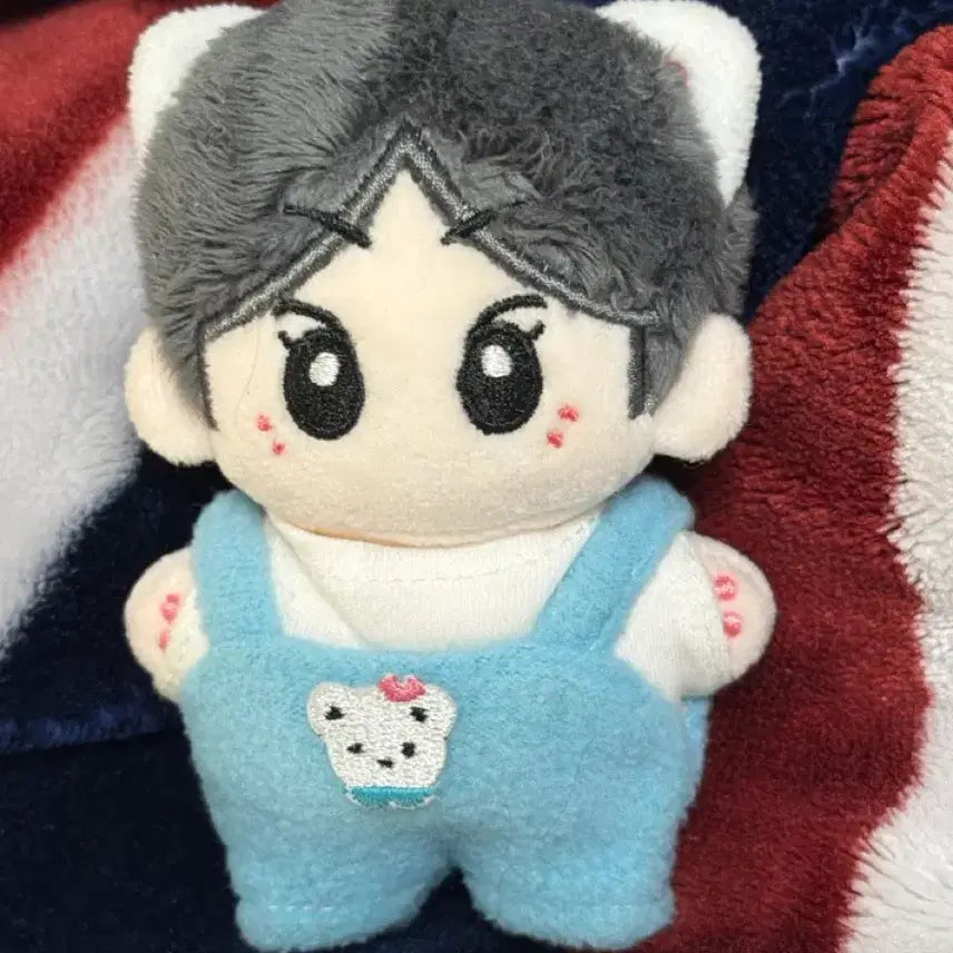 [BUNJANG] Enhypen Jungwon Little Won Doll Bundle Set / 보들1등급옷+리틀원 양정원 인형 엔하이픈 enhypen jungwon