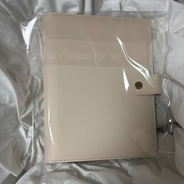 [BUNJANG] Miniuit A5 Macaron Binder / A5 미뉴잇 마카롱 바인더