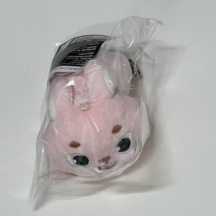 [BUNJANG] DAY6 Denimals Wonpil Lying Version Photocard / 미개봉 새상품) 데이식스 전투 굿즈 데니멀즈 원필 라잉 버전