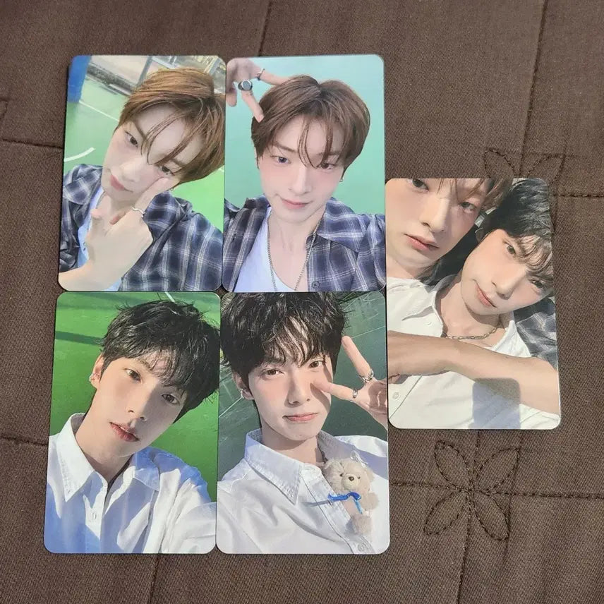 [BUNJANG] Choi Ripwoo Kang Woojin Flare U Ktown4u POB Photocard / 최립우 강우진 플레어유 flare u 케이타운포유 케타포 포카 미공포