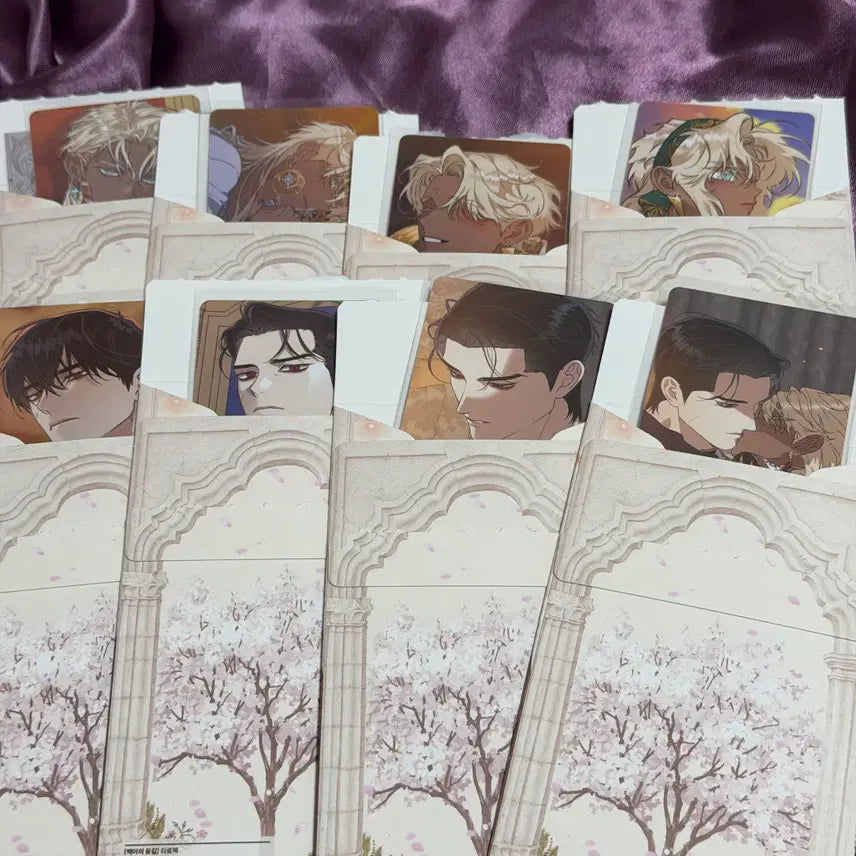 [BUNJANG] Backyard Flower Path Tarot Pack Set (8 Types) / 백야의 꽃길 타로팩 8종 세트