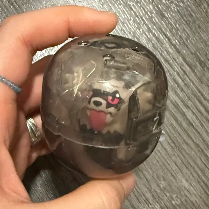 [BUNJANG] Pokemon Flat Mascot Galarian Zigzagoon Gacha / 포켓몬 납작 마스코트 가라르 지그제구리 가챠 미개봉