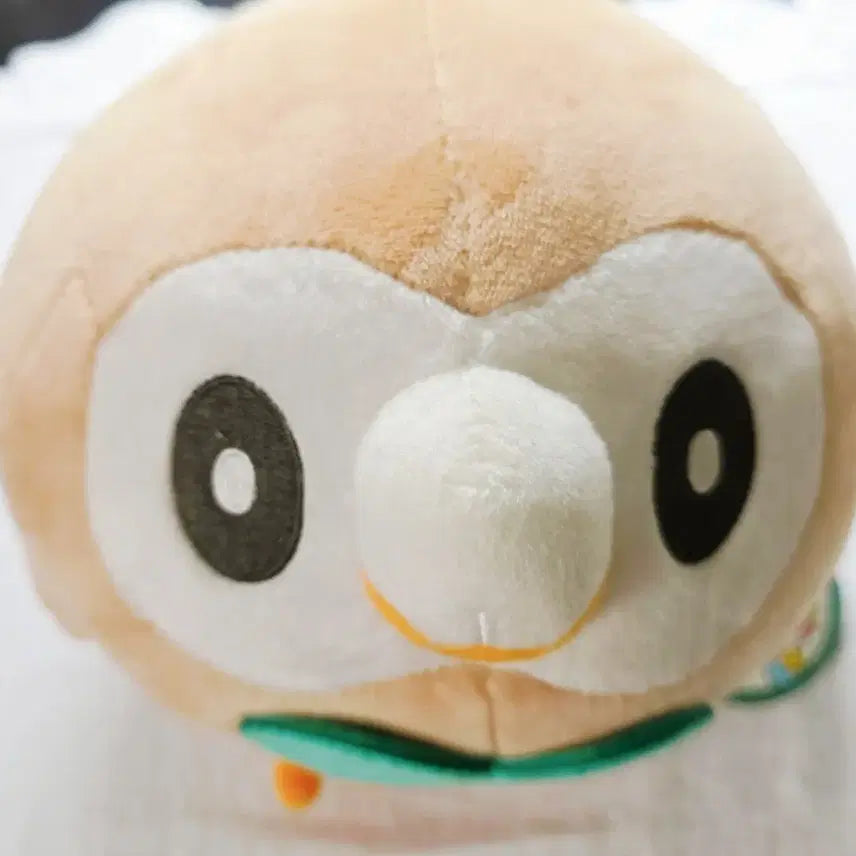 [BUNJANG] Pokemon Torchic Official Plush / 포켓몬스터 나몰빼미 포켓몬 공식 정품 인형 택o