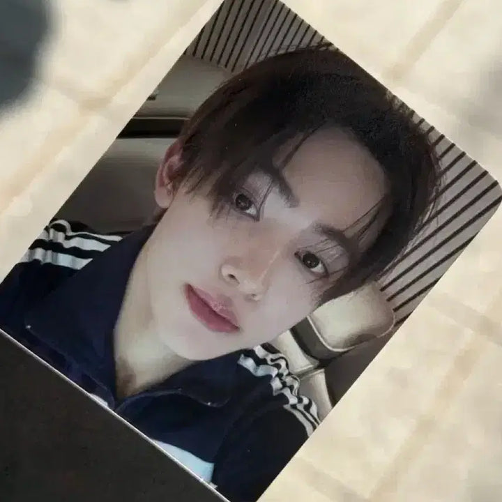 [BUNJANG] Cortis Sung Hyun Studio Photocard / 코르티스 성현 사녹 공방 포카