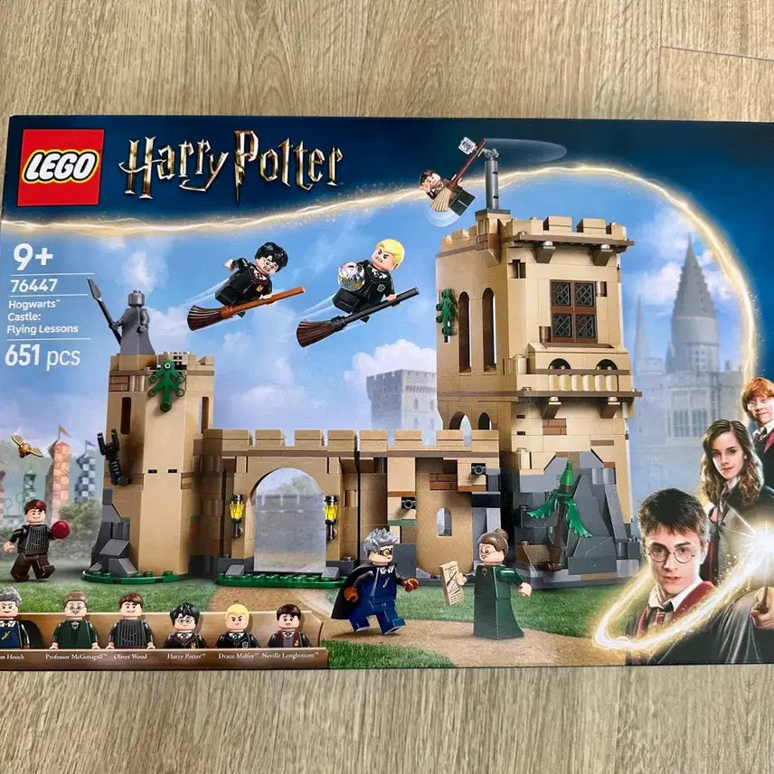 [BUNJANG] LEGO Harry Potter Hogwarts Castle Flying Lesson (76447) - Sealed / 미개봉) 레고 해리포터 호그와트 성 플라잉 레슨
