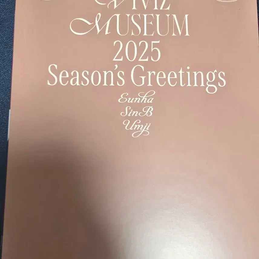 [BUNJANG] Viviz 2025 Season&