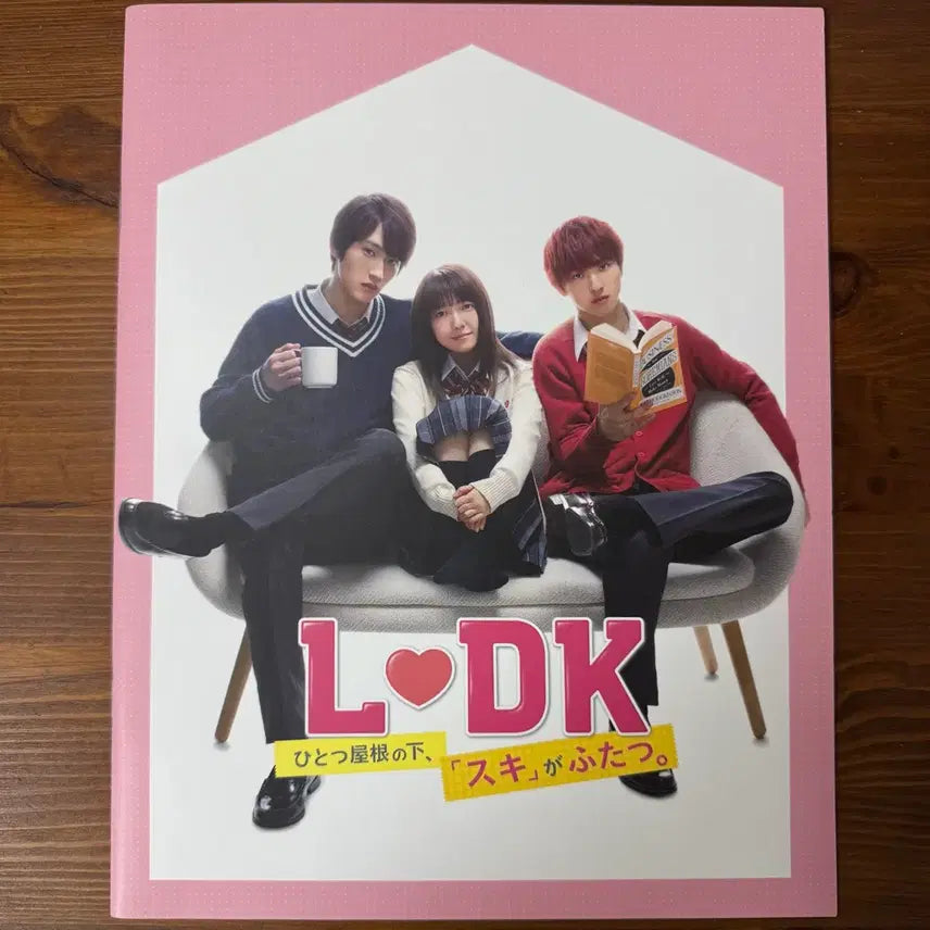 [BUNJANG] LDK: Love Cinema Japanese Movie Pamphlet / 일본영화 LDK 러브하우스 팜플렛