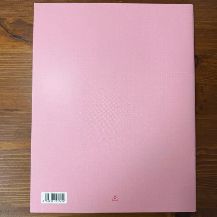 [BUNJANG] LDK: Love Cinema Japanese Movie Pamphlet / 일본영화 LDK 러브하우스 팜플렛