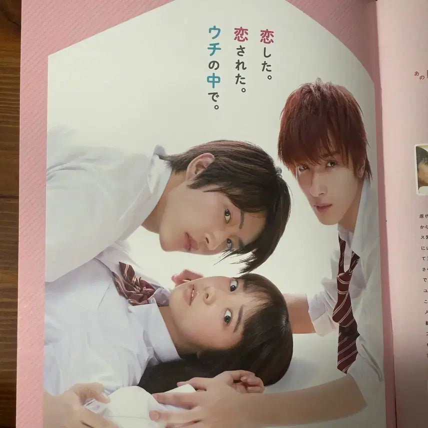 [BUNJANG] LDK: Love Cinema Japanese Movie Pamphlet / 일본영화 LDK 러브하우스 팜플렛