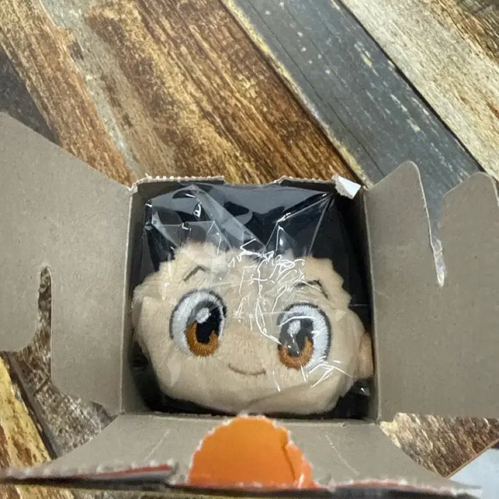 [BUNJANG] Hunter x Hunter Gon Freecss Potecoro Mascot Plush / 헌터헌터 곤 프릭스 포테코로 마스코트 누이