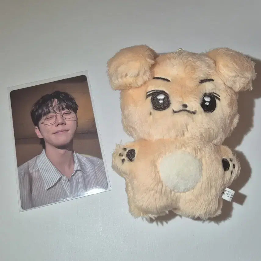 [BUNJANG] Lee Junyoung (Joonmongyi) Doll / 쭌몽이 이준영 실물 인형 양도 (포카는 덤)