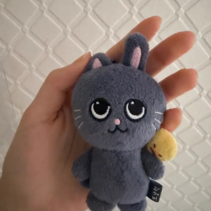 [BUNJANG] RIIZE Wonbin Cat Plush / 라이즈 원빈 인형 토냥덕 양도