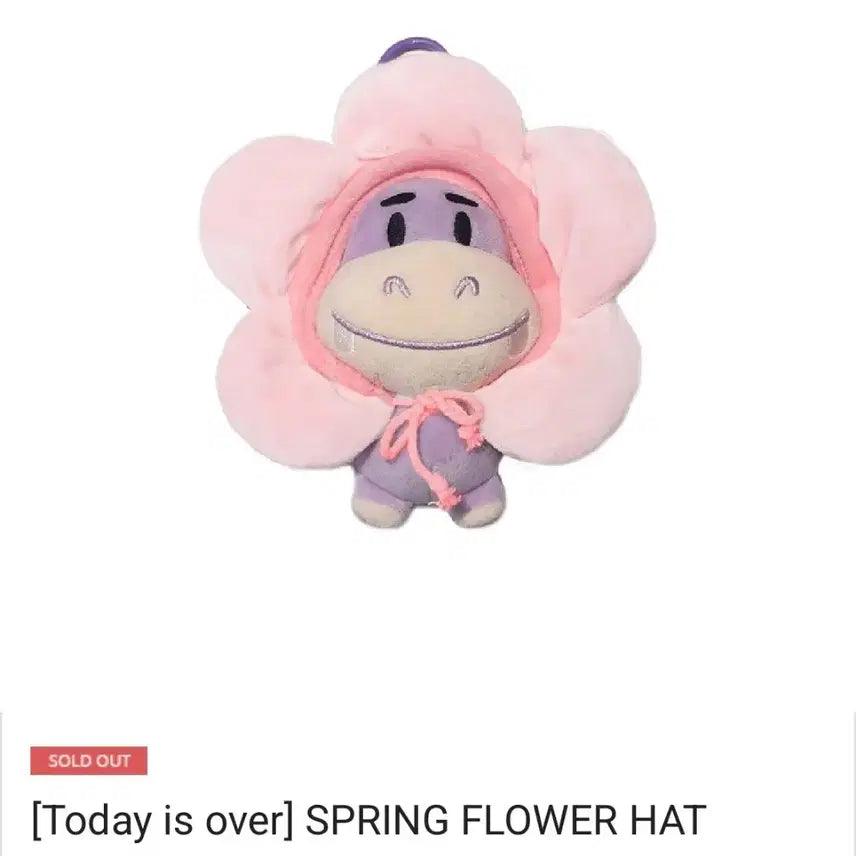 [BUNJANG] N.Flying Spring Edition Hamangi Hat / 엔플라잉 스프링 에디션 하망이 모자 양도