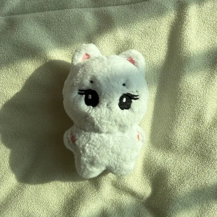 [BUNJANG] Enhypen Jungwon Doll / 엔하이픈 양정원 인형