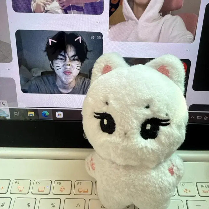 [BUNJANG] Enhypen Jungwon Doll / 엔하이픈 양정원 인형