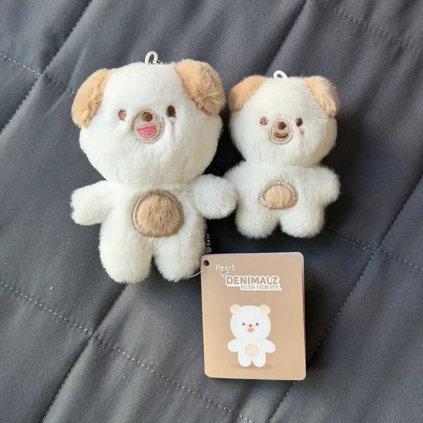 [SOLD OUT] 데이식스 도운 쁘멀 쁘쁘멀 일괄 원가 이하 양도