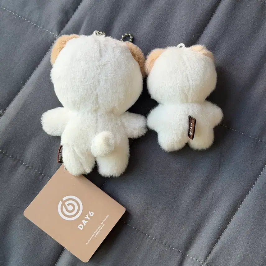 [SOLD OUT] 데이식스 도운 쁘멀 쁘쁘멀 일괄 원가 이하 양도