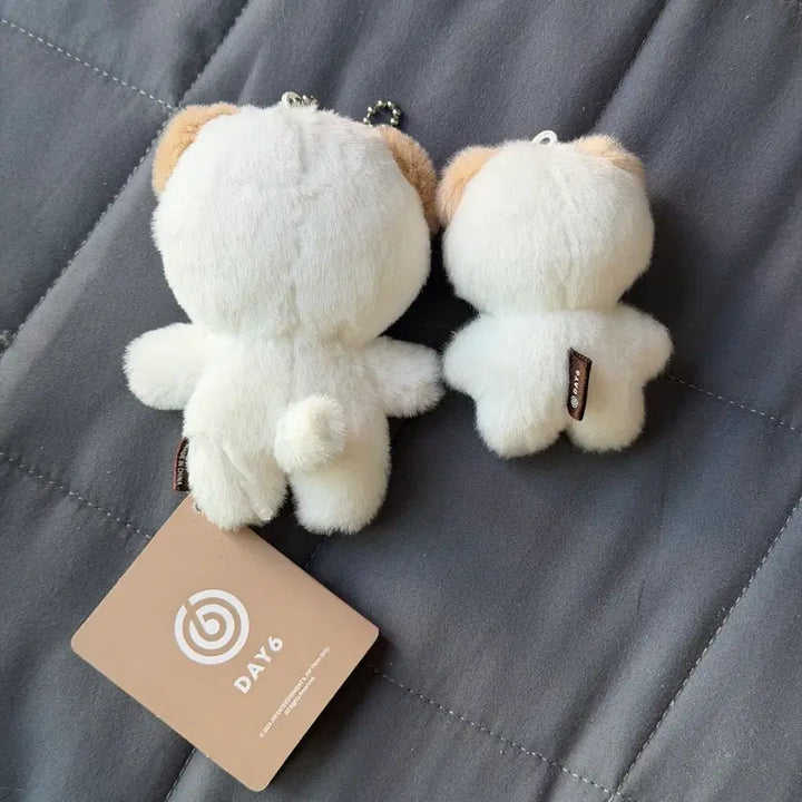 [SOLD OUT] 데이식스 도운 쁘멀 쁘쁘멀 일괄 원가 이하 양도