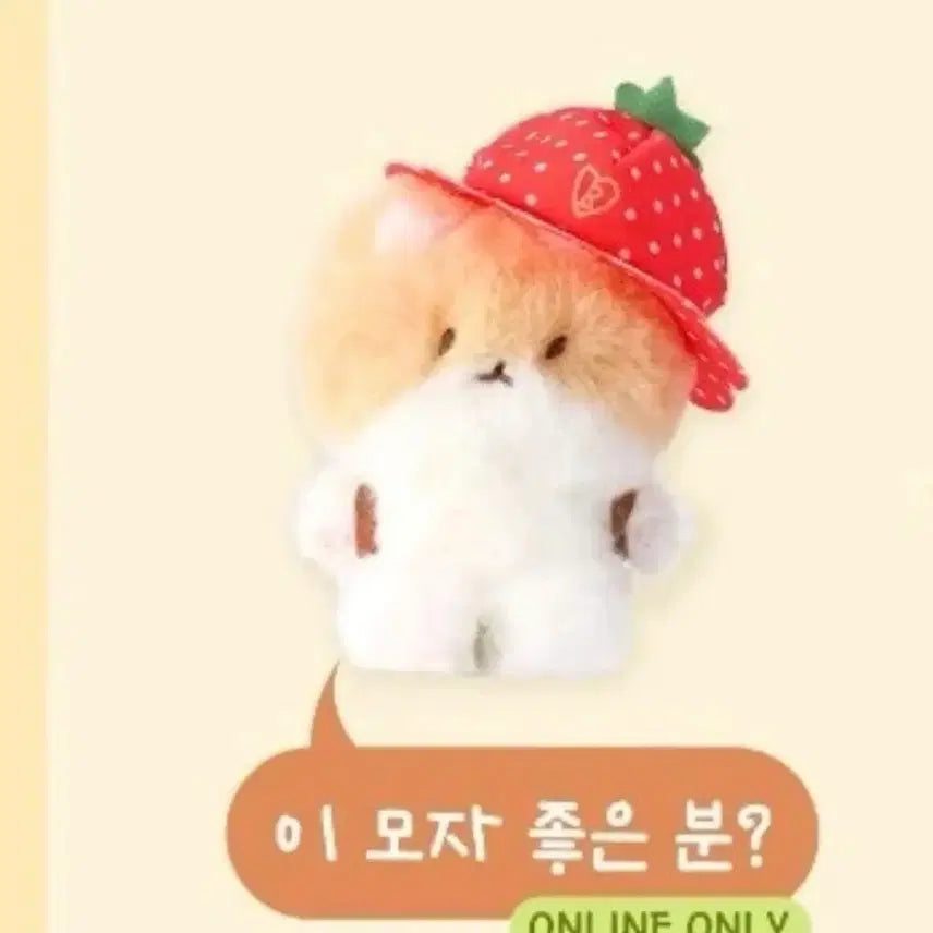 [BUNJANG] Baekhyun "Touregi" Hat (Sealed) / 백현 터래기 이 모자 좋은 분 미개봉 양도