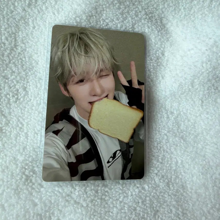 [BUNJANG] TWS Play Hard Ize Ware POB Jihoon / 투어스 play hard 이즈위 미공포 양도 빵포카   지훈